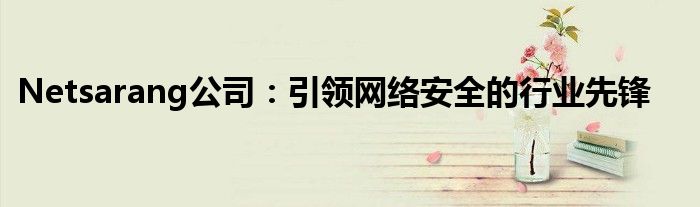 Netsarang公司：引领网络安全的行业先锋