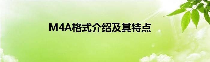 M4A格式介绍及其特点