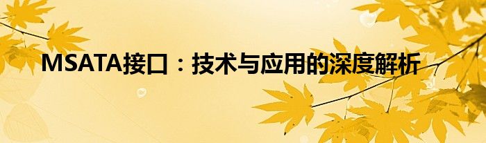 MSATA接口：技术与应用的深度解析
