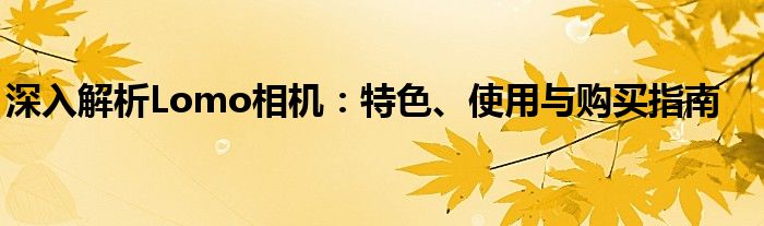 深入解析Lomo相机：特色、使用与购买指南