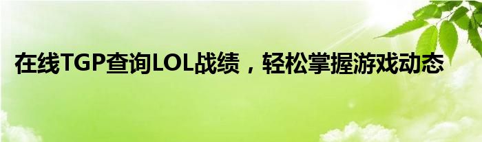 在线TGP查询LOL战绩，轻松掌握游戏动态