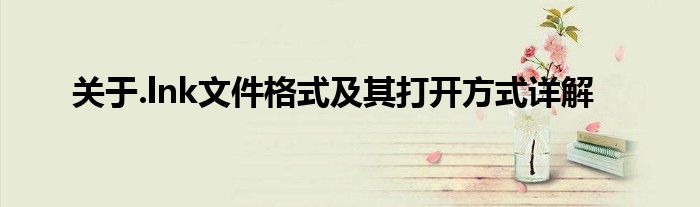 关于.lnk文件格式及其打开方式详解
