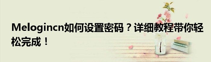 Melogincn如何设置密码？详细教程带你轻松完成！