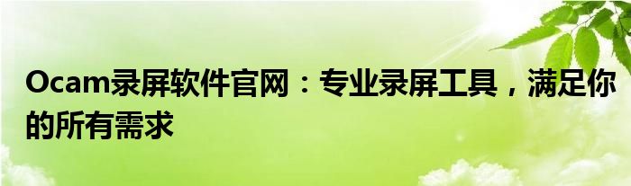 Ocam录屏软件官网：专业录屏工具，满足你的所有需求