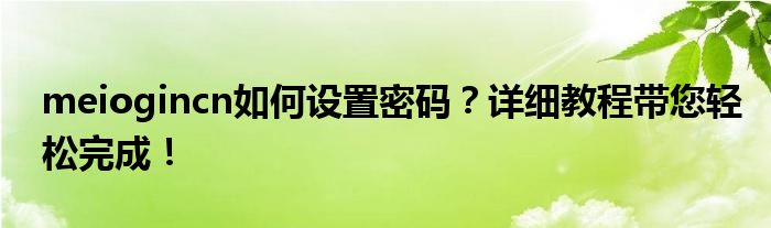 meiogincn如何设置密码？详细教程带您轻松完成！