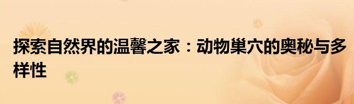 探索自然界的温馨之家：动物巢穴的奥秘与多样性
