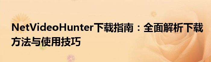 NetVideoHunter下载指南：全面解析下载方法与使用技巧