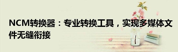 NCM转换器：专业转换工具，实现多媒体文件无缝衔接
