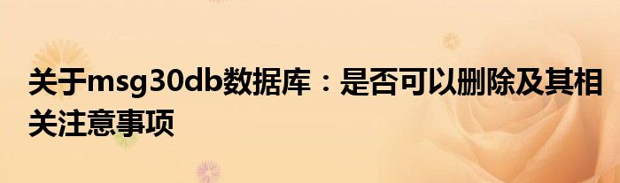 关于msg30db数据库：是否可以删除及其相关注意事项