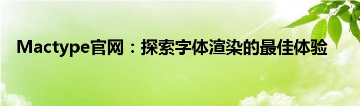 Mactype官网：探索字体渲染的最佳体验