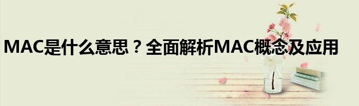 MAC是什么意思？全面解析MAC概念及应用