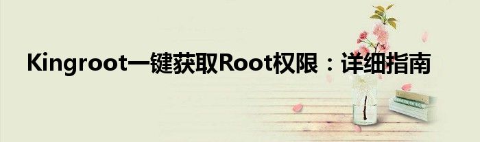 Kingroot一键获取Root权限：详细指南