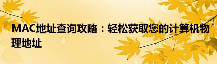 MAC地址查询攻略：轻松获取您的计算机物理地址