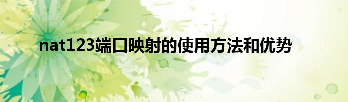 nat123端口映射的使用方法和优势