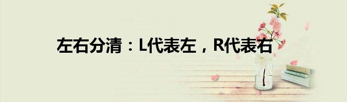 左右分清：L代表左，R代表右