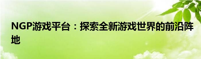 NGP游戏平台：探索全新游戏世界的前沿阵地