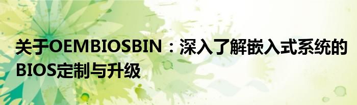 关于OEMBIOSBIN：深入了解嵌入式系统的BIOS定制与升级