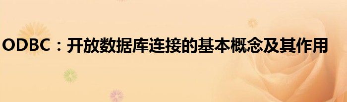 ODBC：开放数据库连接的基本概念及其作用