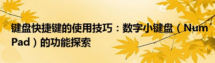 键盘快捷键的使用技巧：数字小键盘（NumPad）的功能探索