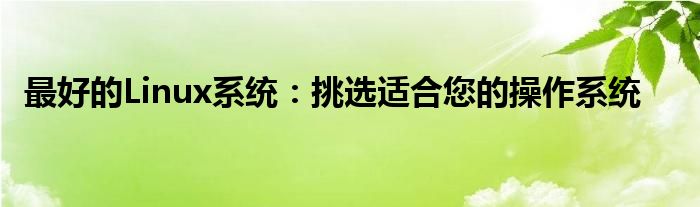 最好的Linux系统：挑选适合您的操作系统