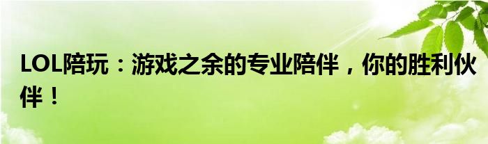 LOL陪玩：游戏之余的专业陪伴，你的胜利伙伴！
