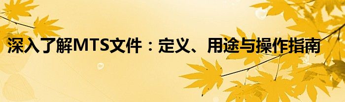 深入了解MTS文件：定义、用途与操作指南