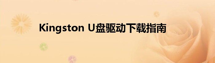 Kingston U盘驱动下载指南