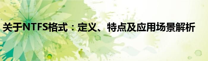 关于NTFS格式：定义、特点及应用场景解析