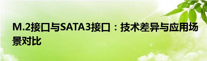 M.2接口与SATA3接口：技术差异与应用场景对比