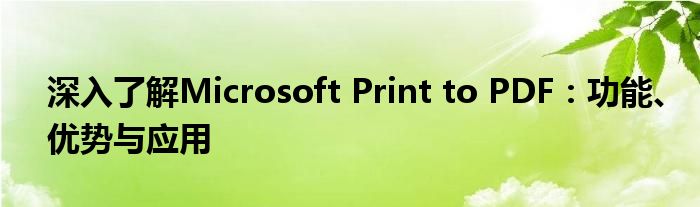 深入了解Microsoft Print to PDF：功能、优势与应用
