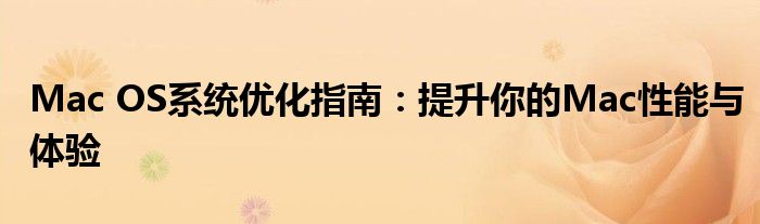 Mac OS系统优化指南：提升你的Mac性能与体验