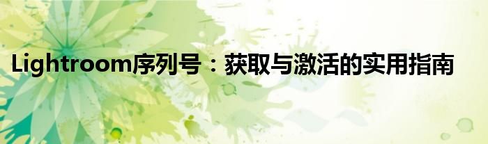 Lightroom序列号：获取与激活的实用指南
