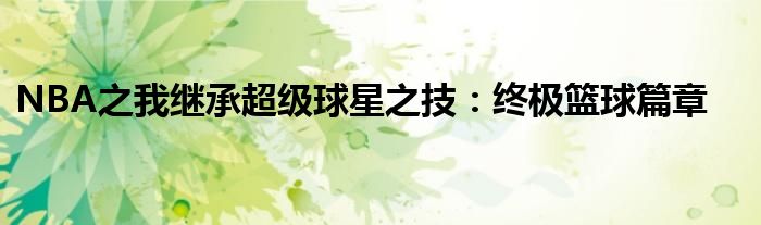 NBA之我继承超级球星之技：终极篮球篇章