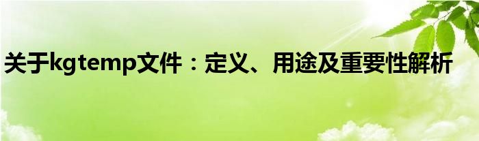 关于kgtemp文件：定义、用途及重要性解析