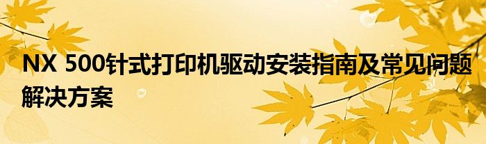 NX 500针式打印机驱动安装指南及常见问题解决方案