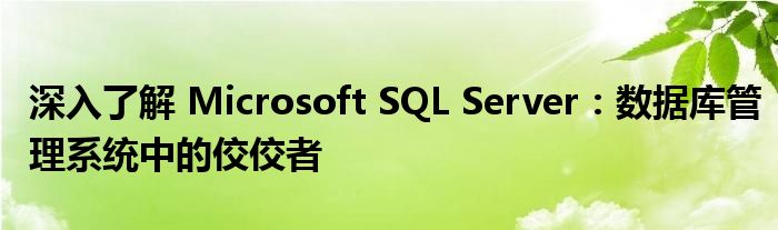 深入了解 Microsoft SQL Server：数据库管理系统中的佼佼者