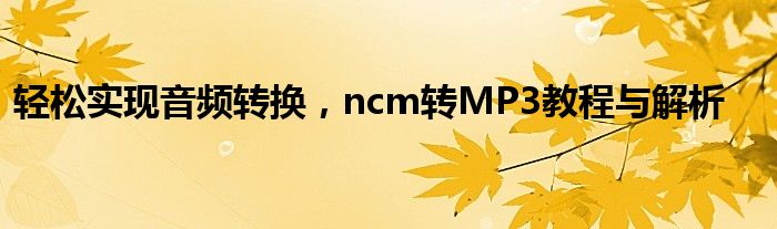 轻松实现音频转换，ncm转MP3教程与解析