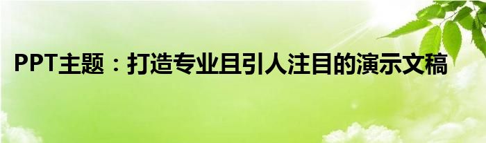 PPT主题：打造专业且引人注目的演示文稿