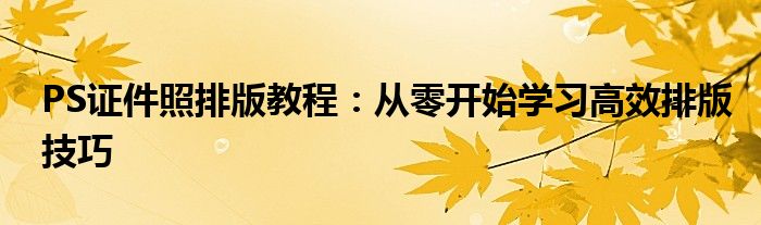 PS证件照排版教程：从零开始学习高效排版技巧