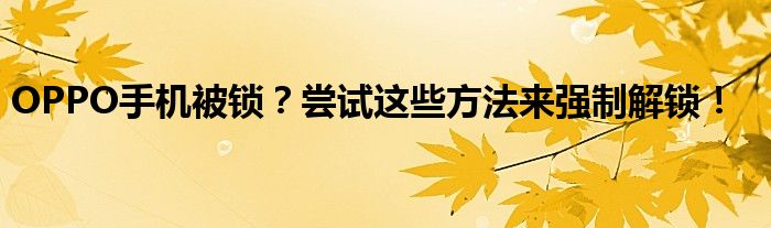 OPPO手机被锁？尝试这些方法来强制解锁！
