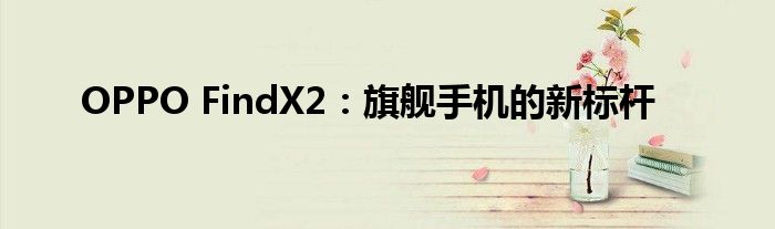 OPPO FindX2：旗舰手机的新标杆