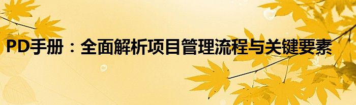 PD手册：全面解析项目管理流程与关键要素