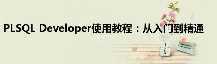 PLSQL Developer使用教程：从入门到精通