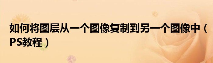 如何将图层从一个图像复制到另一个图像中（PS教程）