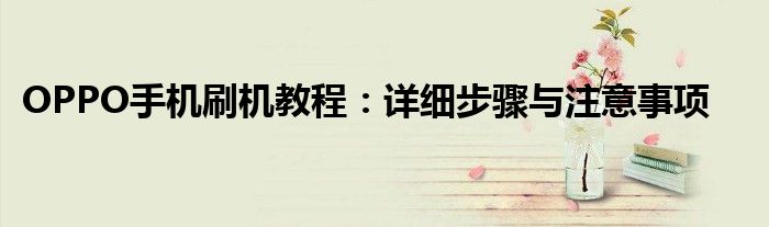 OPPO手机刷机教程：详细步骤与注意事项