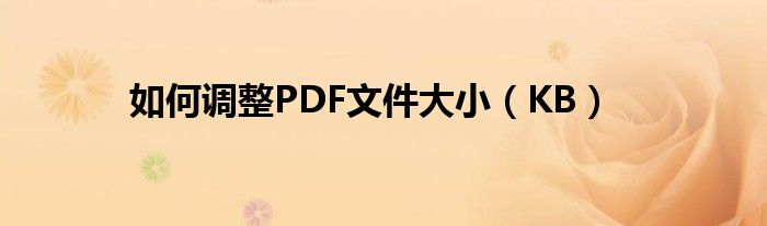 如何调整PDF文件大小（KB）