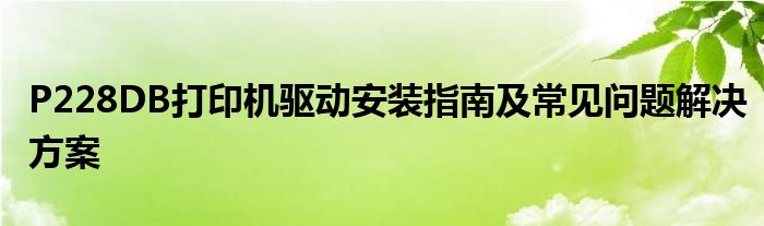 P228DB打印机驱动安装指南及常见问题解决方案