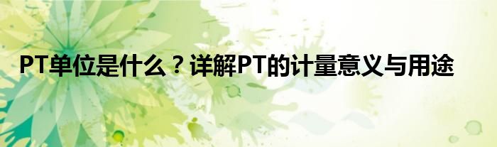 PT单位是什么？详解PT的计量意义与用途