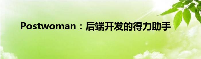 Postwoman：后端开发的得力助手