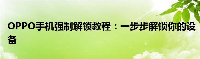 OPPO手机强制解锁教程：一步步解锁你的设备